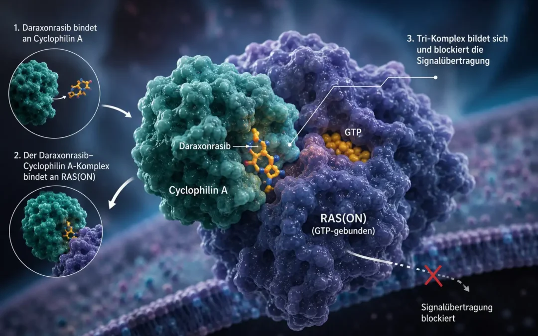 Daraxonrasib: Das unangreifbare Protein