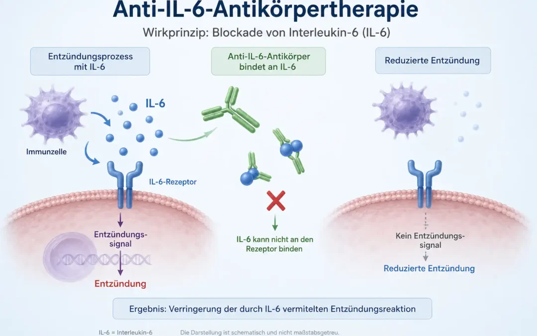 Anti-IL-6-Antikörpertherapie: Vom Fund zum Text